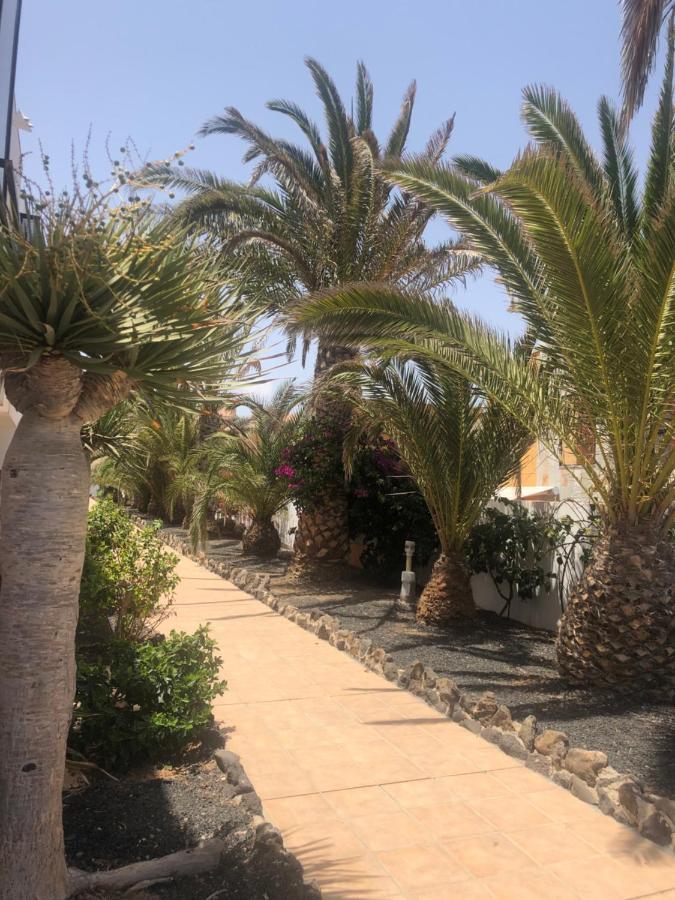 Apartamento Sunny Complex Amaya Fuerteventura Costa De Antigua Exterior photo